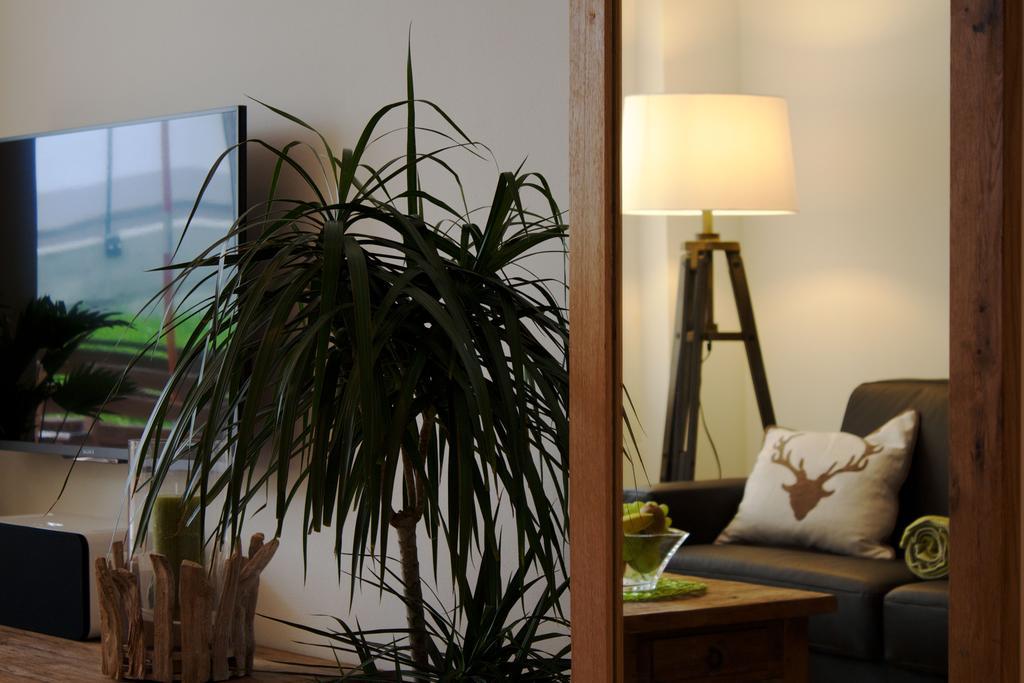 Apartment Olympia Matterhorn 체르마트 객실 사진